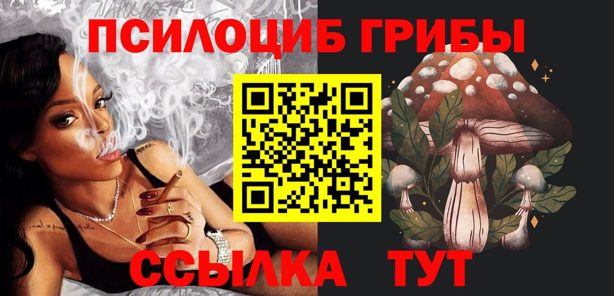 Коряжма  Псилоцибиновые грибы GOLDEN TEACHER  Вход с VPN 
