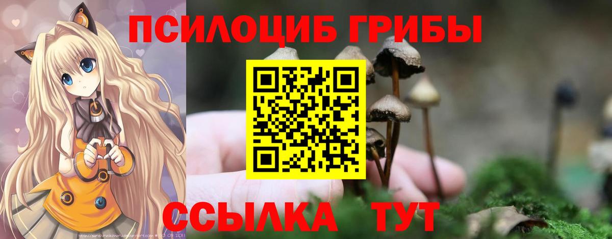 Псилоцибиновые грибы прущие грибы Коряжма