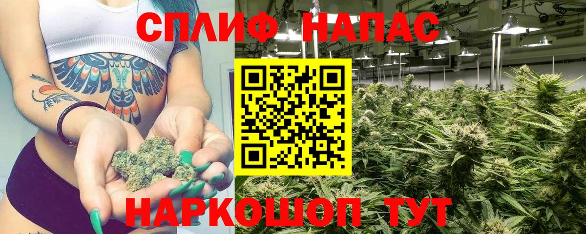 Канабис семена Коряжма